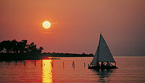 sea