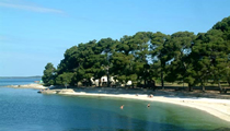 valbandon