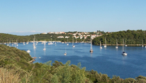 vinkuran