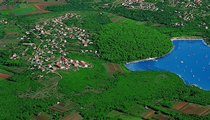 vinkuran