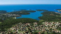 vinkuran